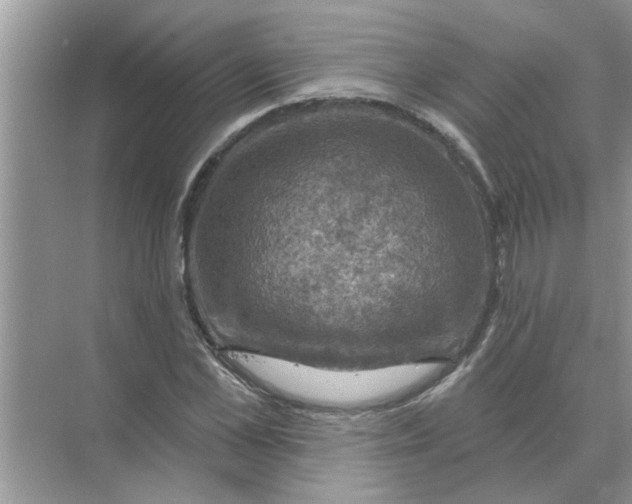 X0000074340973200609230114