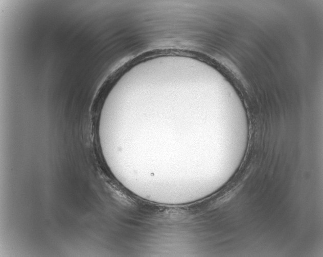 X0000074340974200609230114