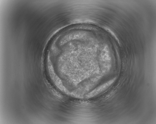 X0000074340975200609230114