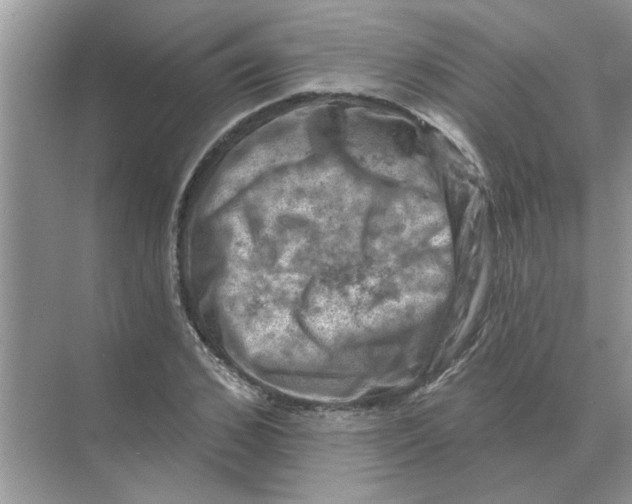 X0000074340976200609230114