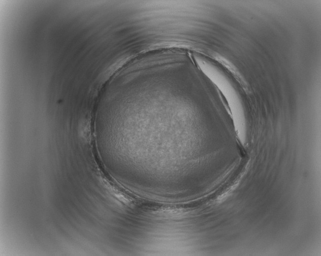 X0000074340977200609230114