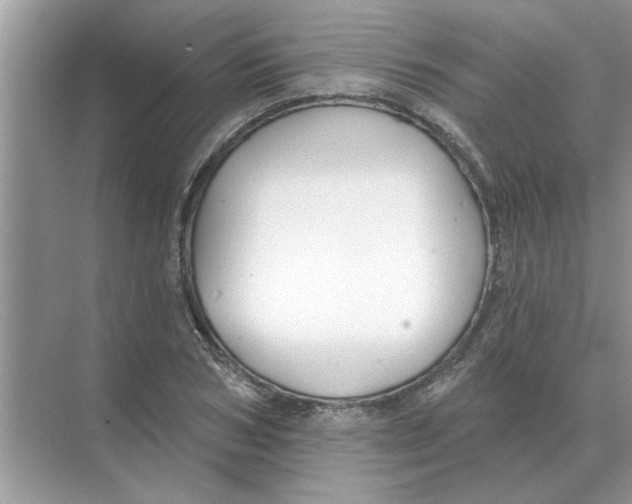 X0000074340978200609230114