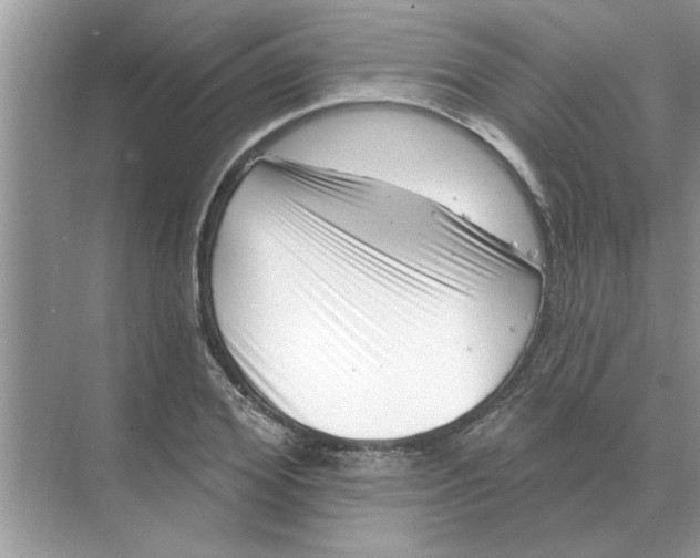 X0000074340980200609230114