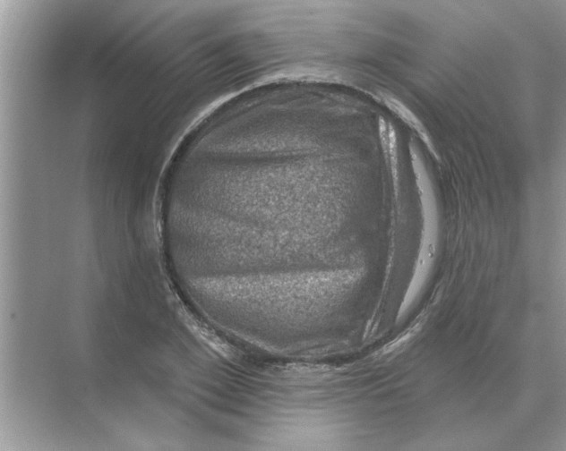 X0000074340981200609230114