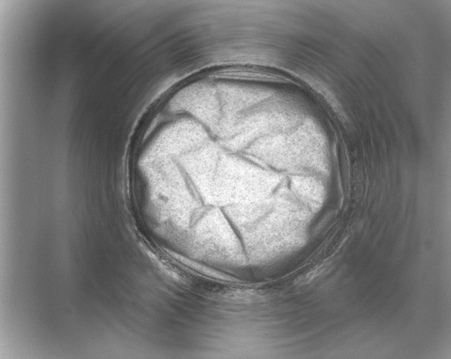 X0000074340982200609230113