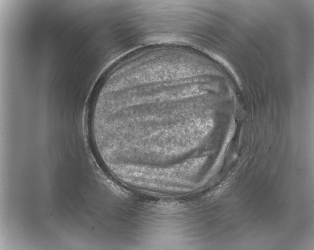 X0000074340983200609230113