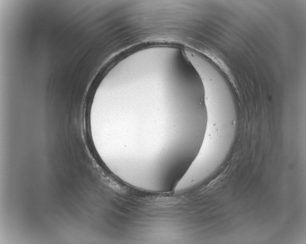 X0000074340984200609230113