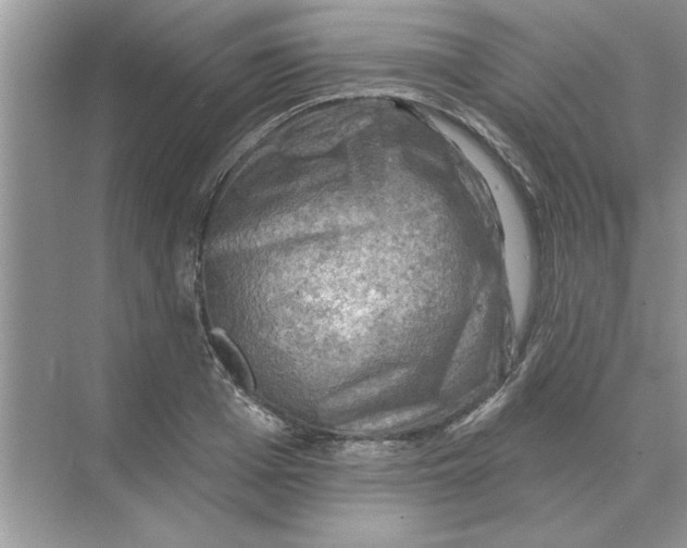 X0000074340985200609230113