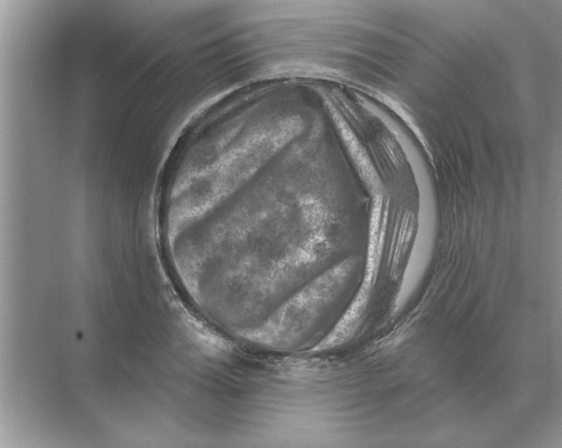 X0000074340987200609230113