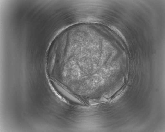 X0000074340989200609230113