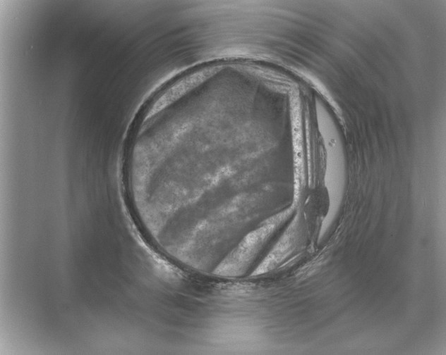 X0000074340991200609230113