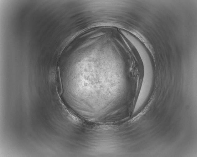 X0000074340993200609230113