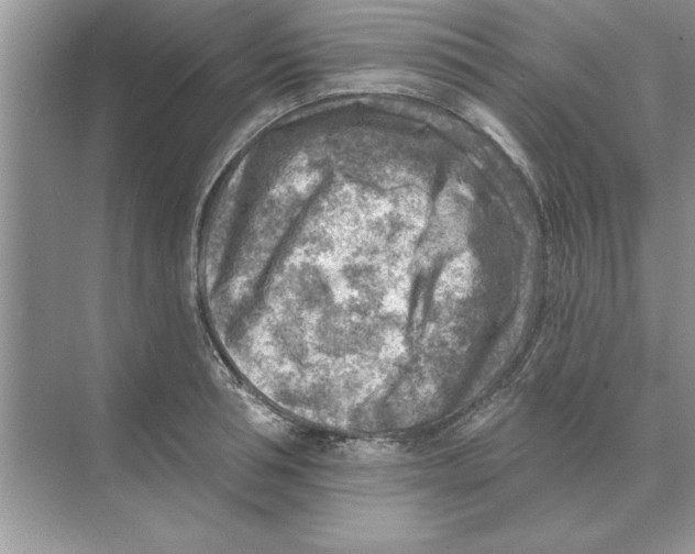 X0000074340994200609230113