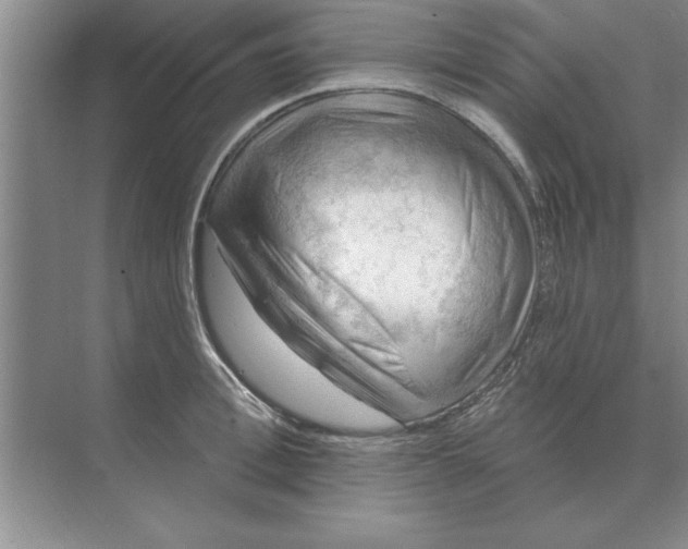 X0000074340996200609230113