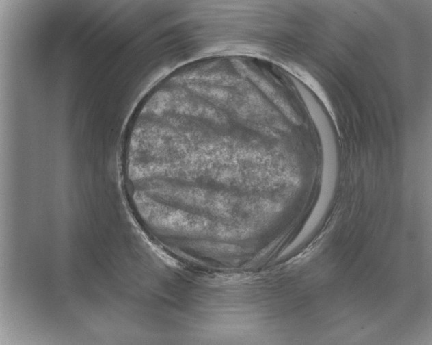 X0000074340997200609230113