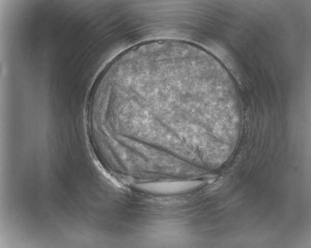 X0000074340998200609230113