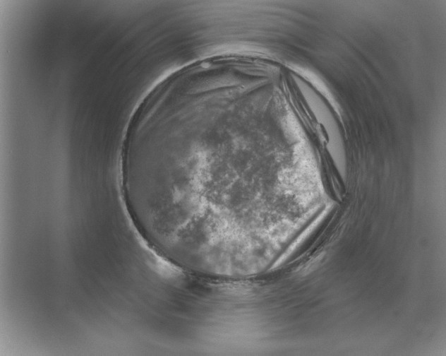 X0000074340999200609230113