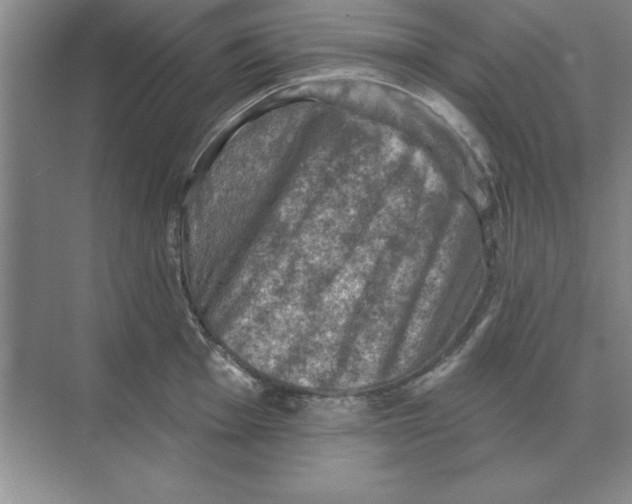 X0000074341001200609230113