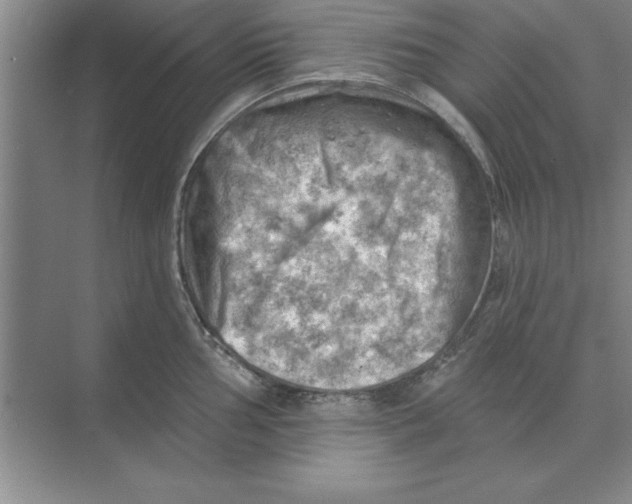 X0000074341002200609230113