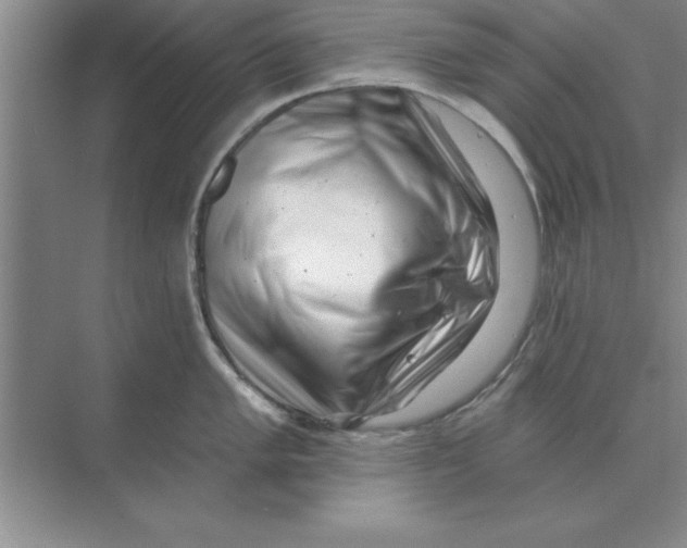 X0000074341005200609230113