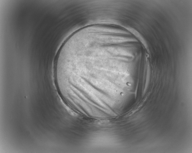 X0000074341006200609230113