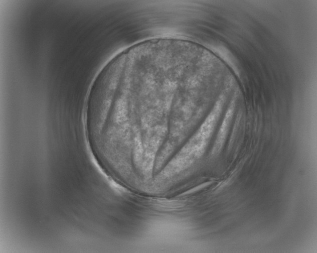 X0000074341007200609230113