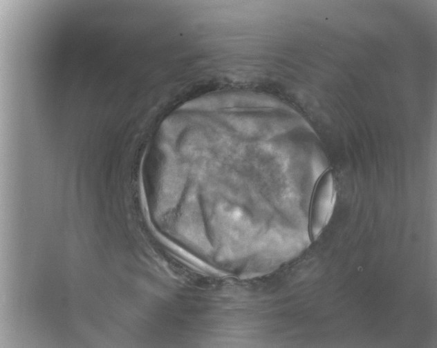 X0000074341009200609230112