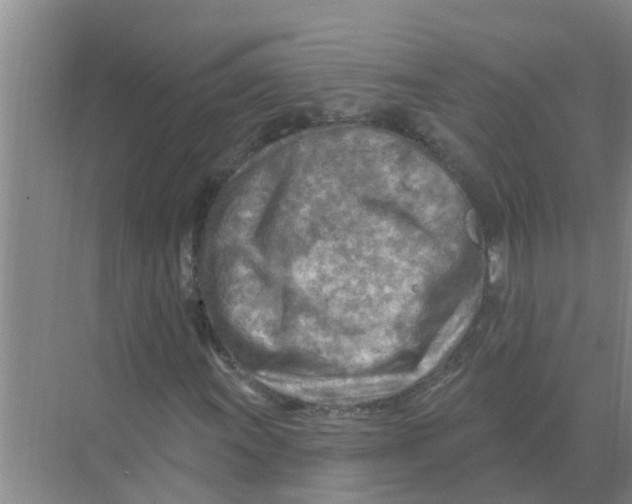 X0000074341011200609230112