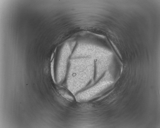 X0000074341012200609230112