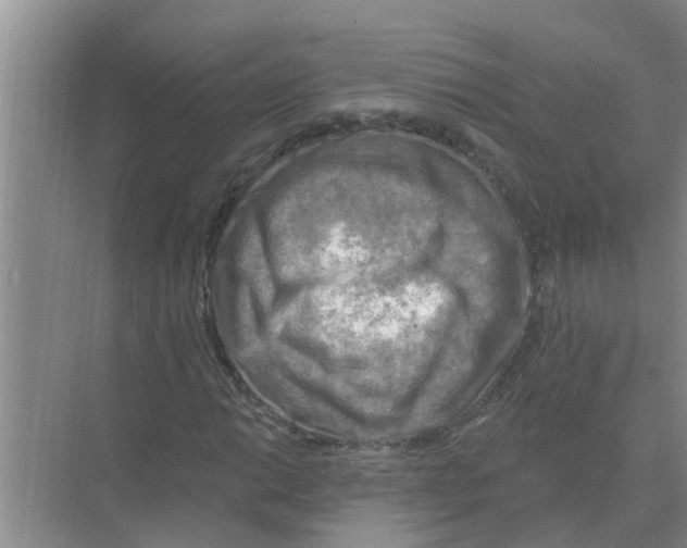 X0000074341014200609230112