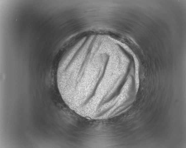 X0000074341016200609230112