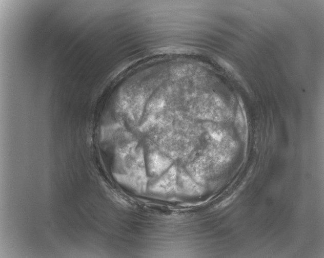 X0000074341017200609230112