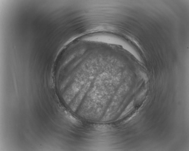 X0000074341018200609230112