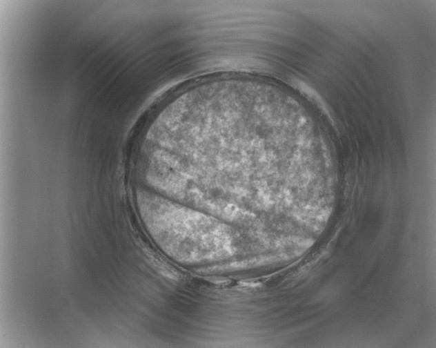 X0000074341019200609230112