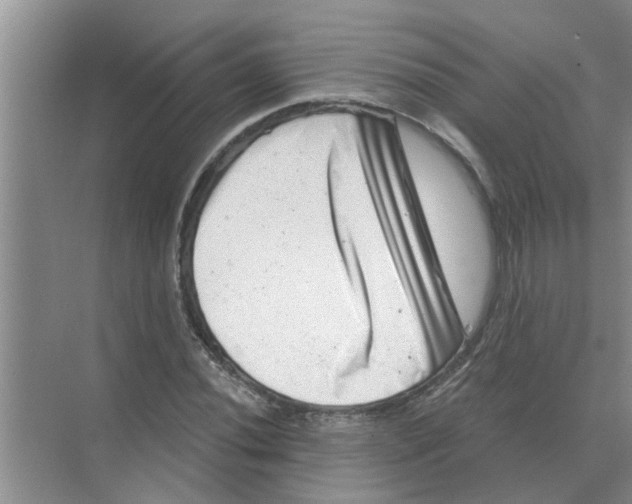 X0000074341020200609230112