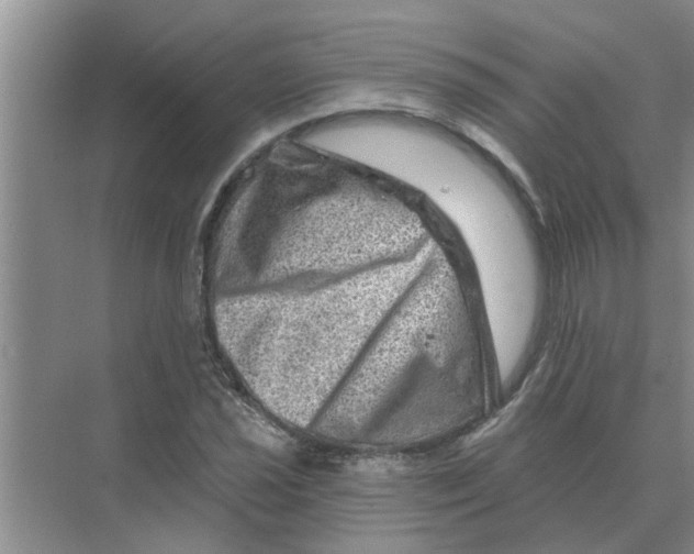 X0000074341021200609230112