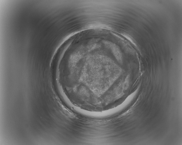 X0000074341022200609230112