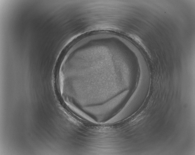 X0000074341024200609230113