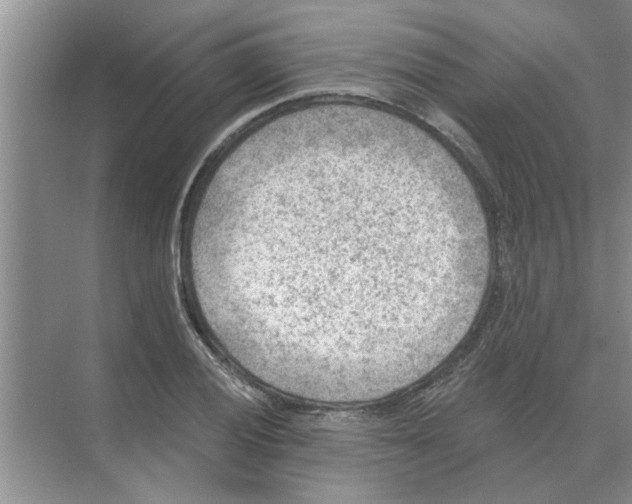 X0000074341028200609230113