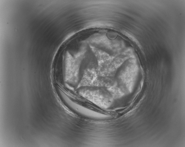 X0000074341029200609230113