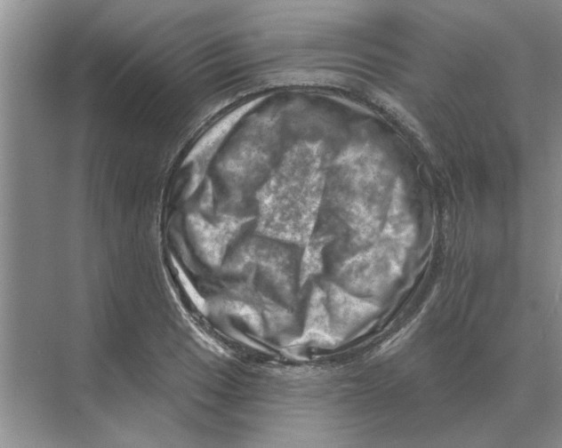 X0000074341033200609230113