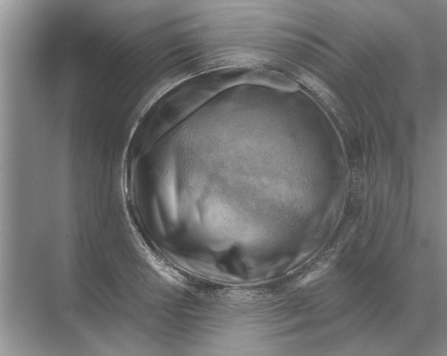 X0000074341034200609230113