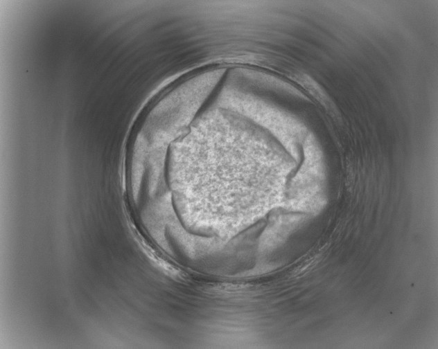 X0000074341036200609230113