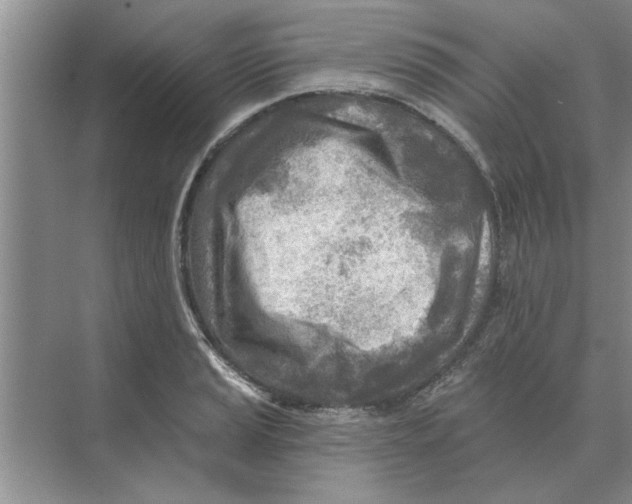 X0000074341037200609230113