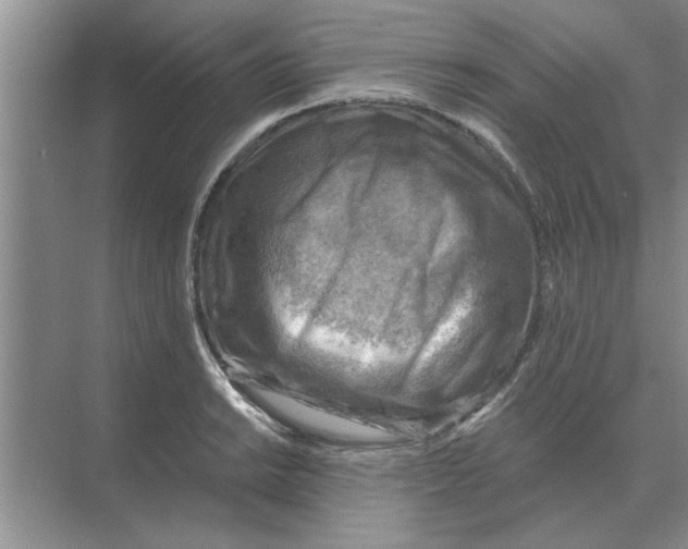 X0000074341038200609230113