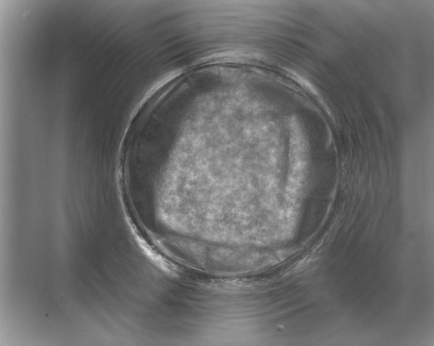 X0000074341042200609230113