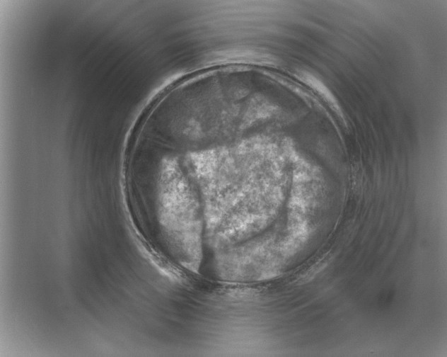 X0000074341043200609230113