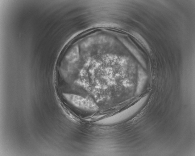 X0000074341044200609230113