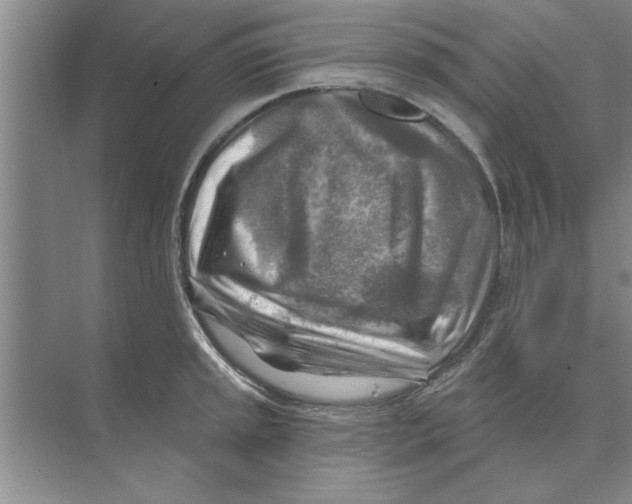 X0000074341045200609230113