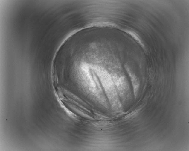 X0000074341046200609230113